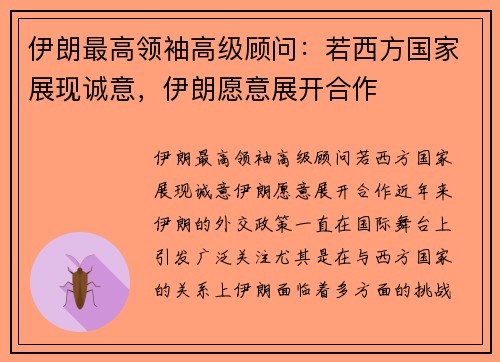 伊朗最高领袖高级顾问：若西方国家展现诚意，伊朗愿意展开合作