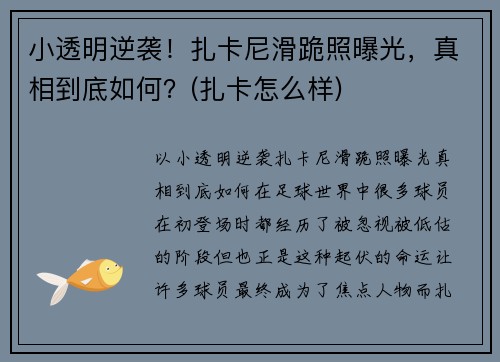 小透明逆袭！扎卡尼滑跪照曝光，真相到底如何？(扎卡怎么样)