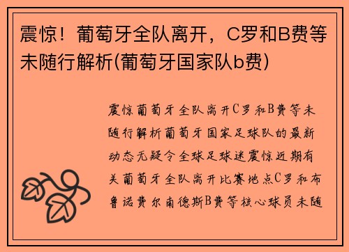 震惊！葡萄牙全队离开，C罗和B费等未随行解析(葡萄牙国家队b费)