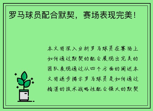 罗马球员配合默契，赛场表现完美！