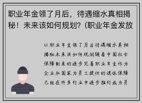 职业年金领了月后，待遇缩水真相揭秘！未来该如何规划？(职业年金发放规定)